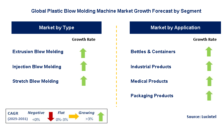 Plastic Blow Molding Machine Market by Segment