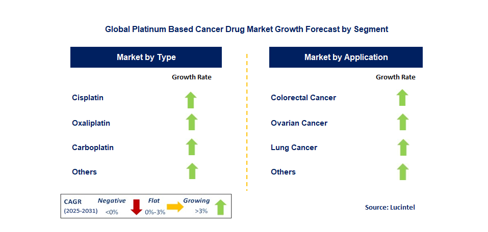 Platinum Based Cancer Drug Market by Segment