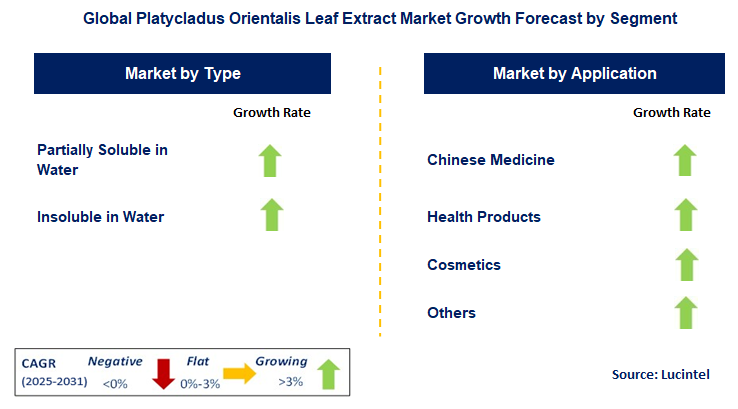 Platycladus Orientalis Leaf Extract Market by Segment