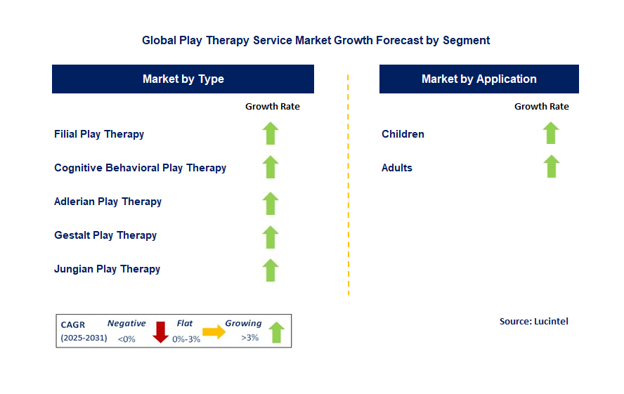 Play Therapy Service Market by Segment
