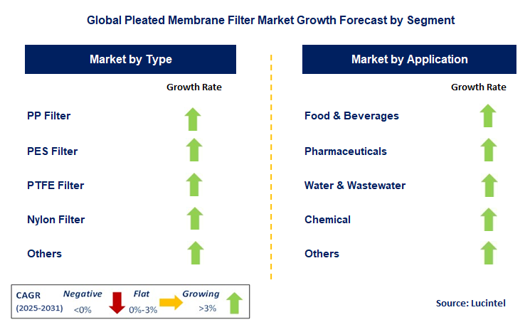 Pleated Membrane Filter Market by Segment