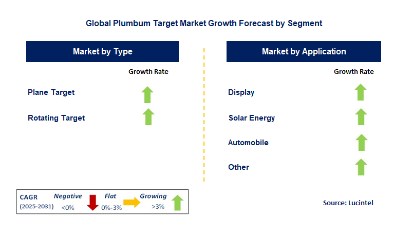 Plumbum Target Market by Segment