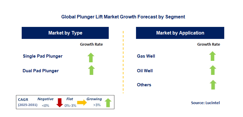 Plunger Lift Market by Segment