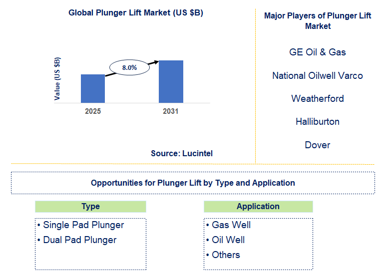 Plunger Lift Market Trends and Forecast