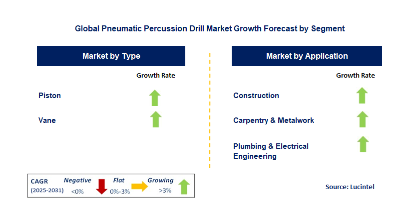 Pneumatic Percussion Drill Market by Segment