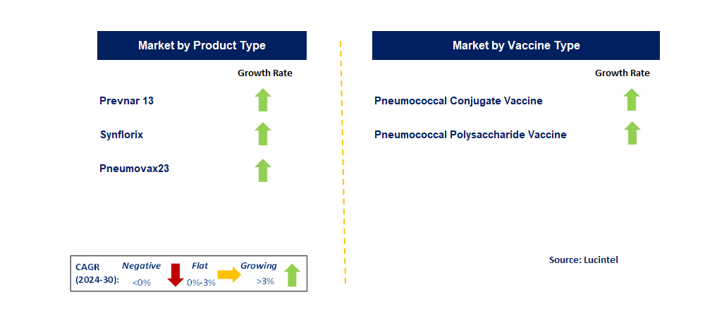 Pneumococcal Vaccine by Segment