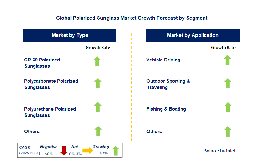 Polarized Sunglass Market by Segment