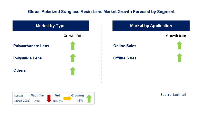 Polarized Sunglass Resin Lens Market by Segment