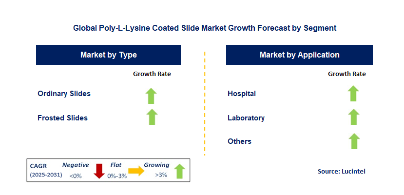 Poly-L-Lysine Coated Slide Market by Segment