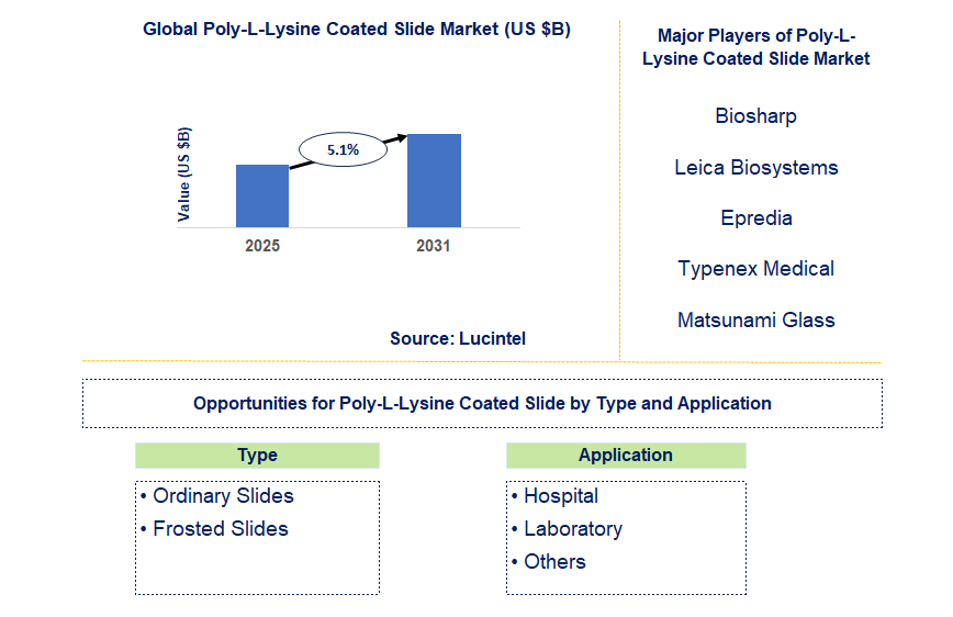 Poly-L-Lysine Coated Slide Market Trends and Forecast