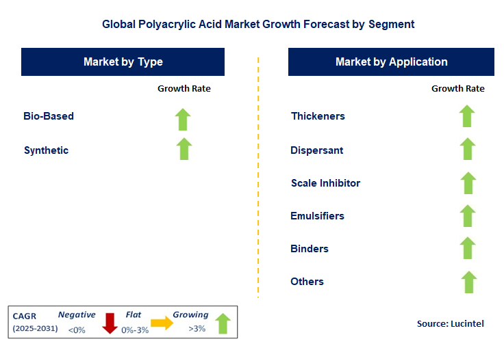 Polyacrylic Acid Market by Segment