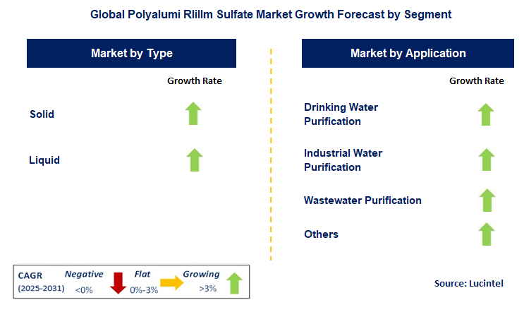 Polyalumi Rlillm Sulfate Market by Segment