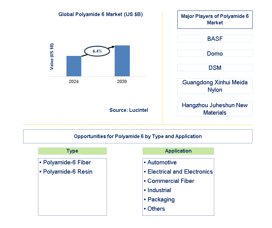 Polyamide 6 Trends and Forecast