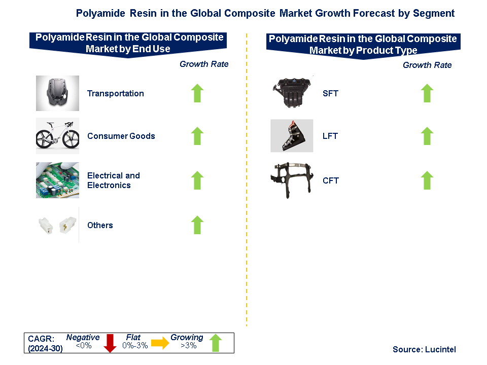 Polyamide by Segment