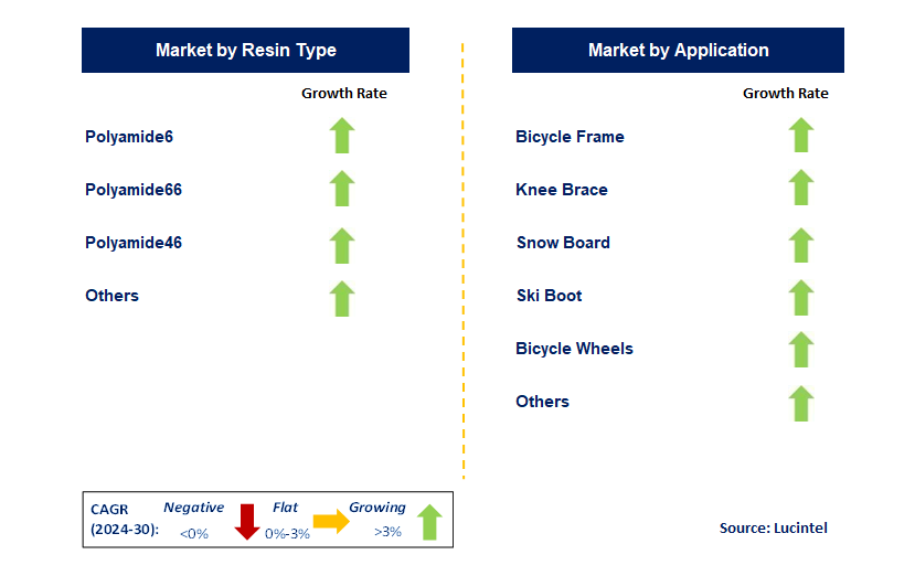 Polyamide Resin Composites in Consumer Good by Segment