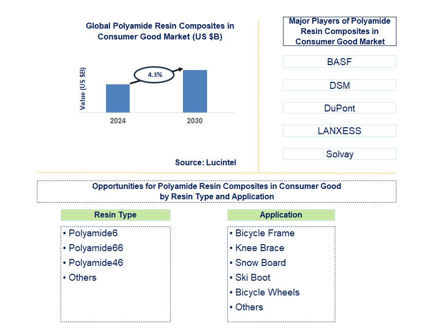 Polyamide Resin Composites in Consumer Good Trends and Forecast