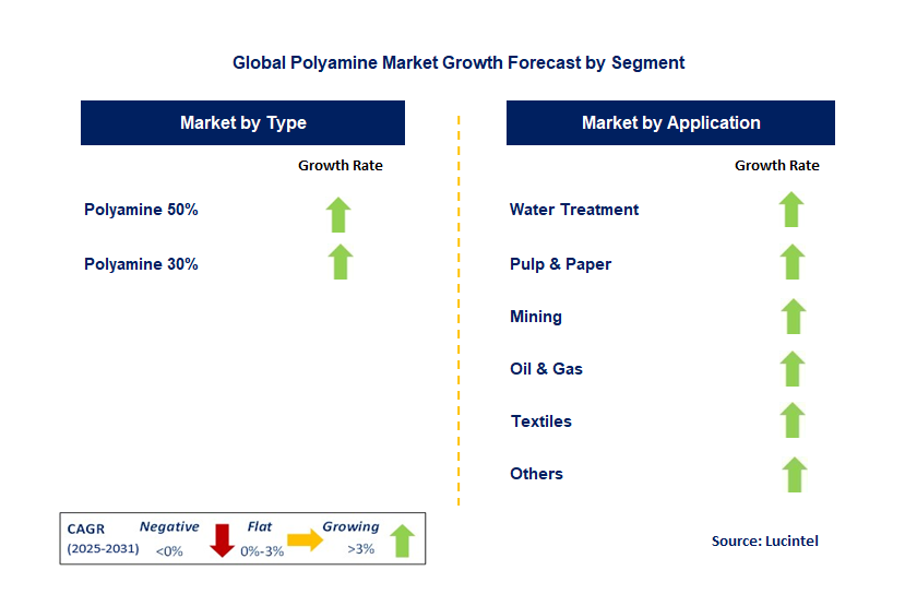 Polyamine Market by Segment
