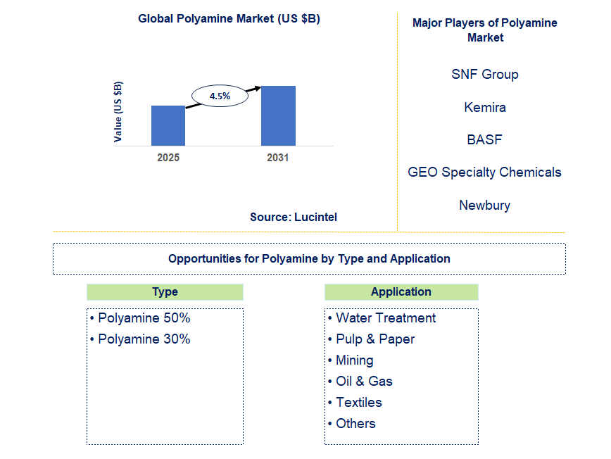 Polyamine Market Trends and Forecast