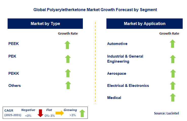 Polyaryletherketone Market by Segment