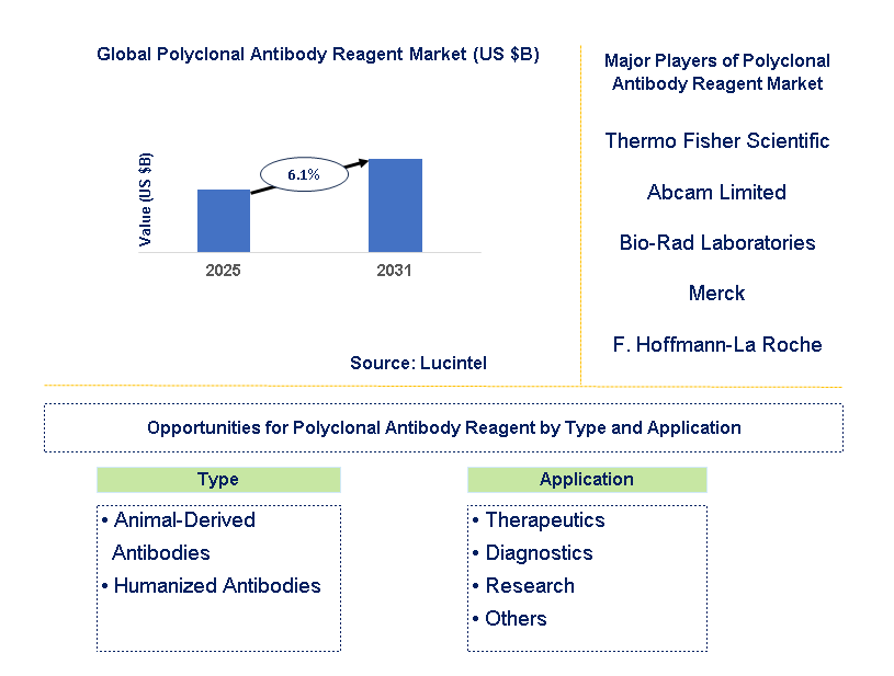 Polyclonal Antibody Reagent Market Trends and Forecast