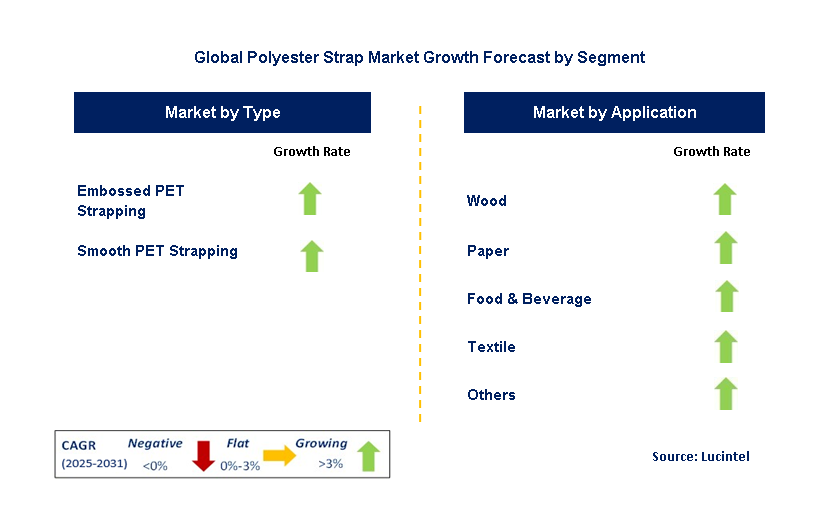 Polyester Strap Market by Segment