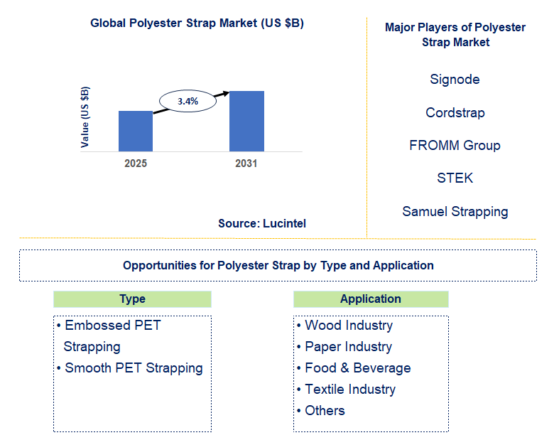 Polyester Strap Market Trends and Forecast