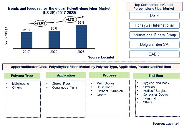 Polyethylene Fiber Market by Polymer Type, Application, Process, and End Use