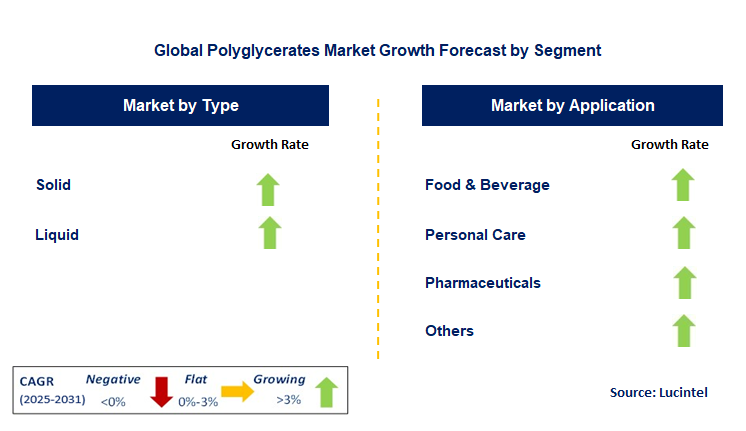 Polyglycerates Market by Segment