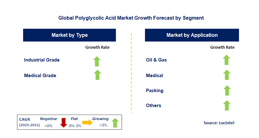 Polyglycolic Acid Market by Segment