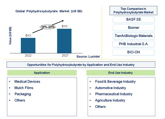 Polyhydroxybutyrate Market by Application, and End Use Industry