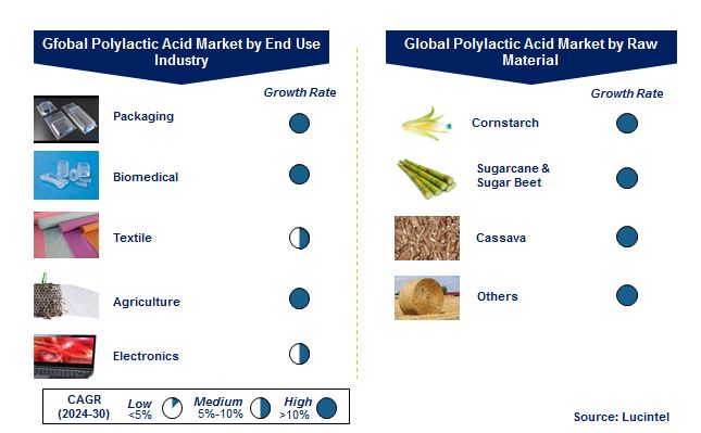 Polylactic Acid Market by Segments
