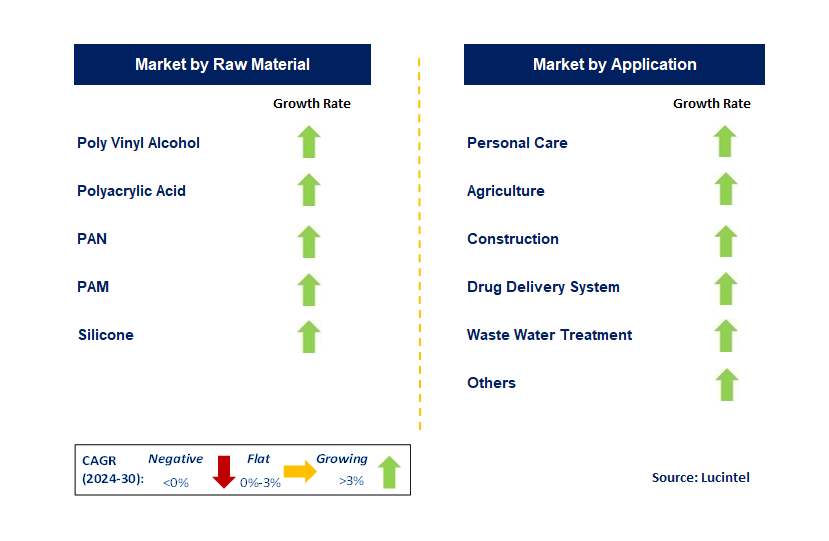 Polymer Gel by Segment