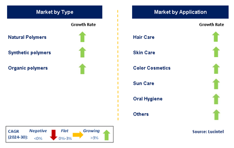 Polymer Ingredients in the Personal Care Market Segments