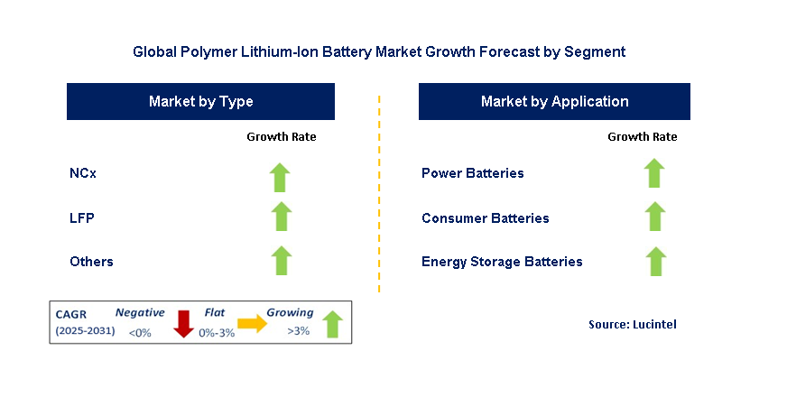 Polymer Lithium-Ion Battery Market by Segment