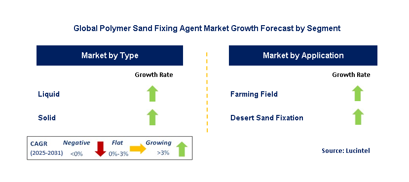 Polymer Sand Fixing Agent Market by Segment