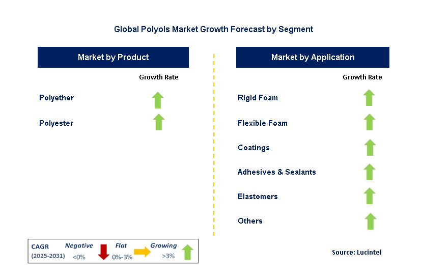Polyols Market by Segment