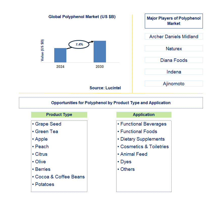 Polyphenol Trends and Forecast