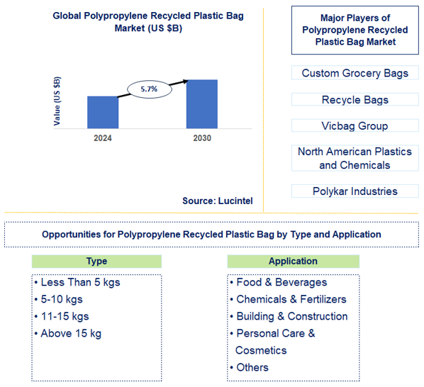 Polypropylene Recycled Plastic Bag Trends and Forecast