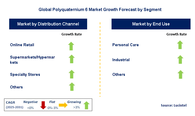 Polyquaternium 6 Market by Segment