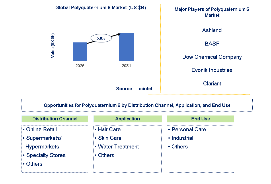 Polyquaternium 6 Market Trends and Forecast