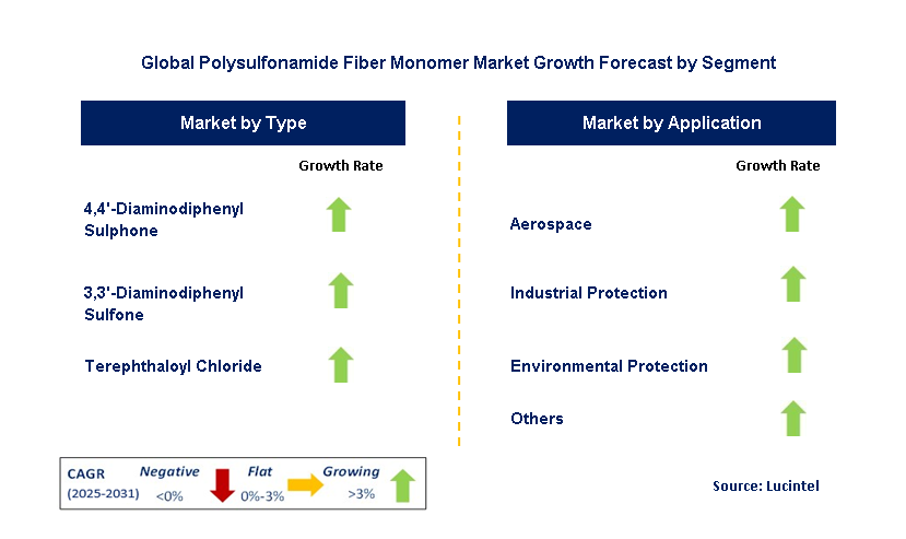 Polysulfonamide Fiber Monomer Market by Segment