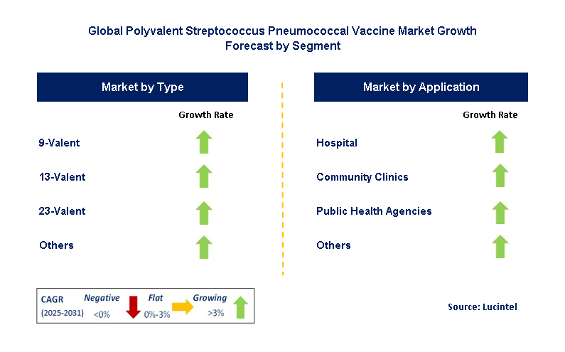 Polyvalent Streptococcus Pneumococcal Vaccine Market by Segment