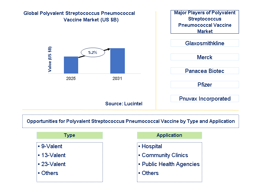 Polyvalent Streptococcus Pneumococcal Vaccine Market Trends and Forecast