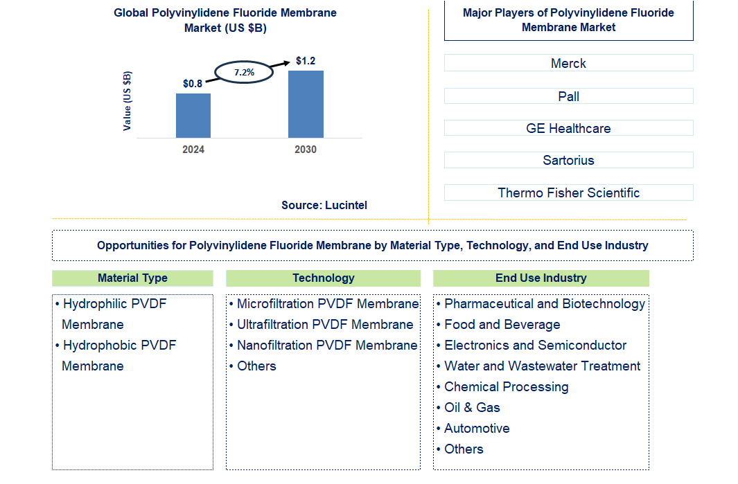 Polyvinylidene Fluoride Membrane Trends and Forecast