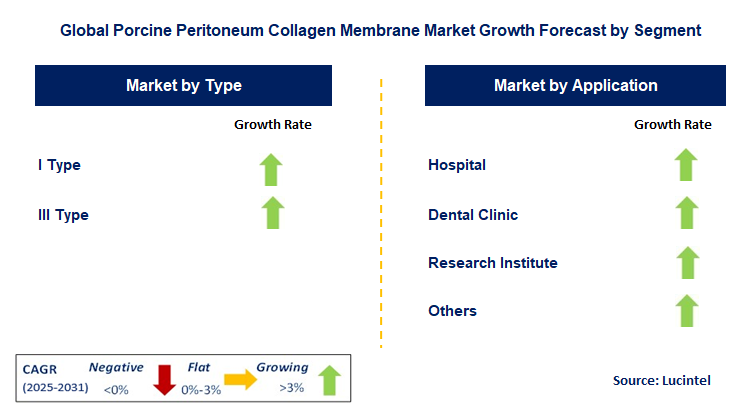 Porcine Peritoneum Collagen Membrane Market by Segment