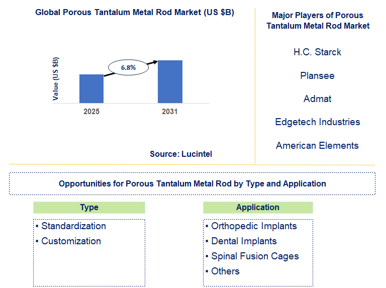 Porous Tantalum Metal Rod Market Trends and Forecast