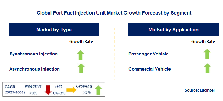 Port Fuel Injection Unit Market by Segment