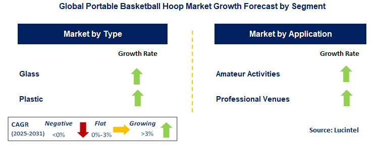 Portable Basketball Hoop Market by Segment