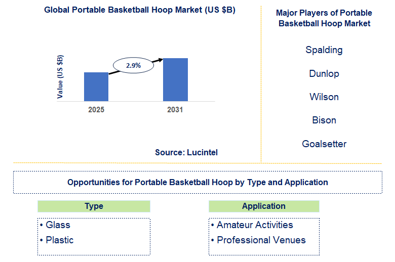 Portable Basketball Hoop Market Trends and Forecast
