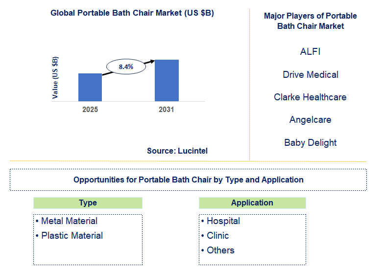 Portable Bath Chair Market Trends and Forecast